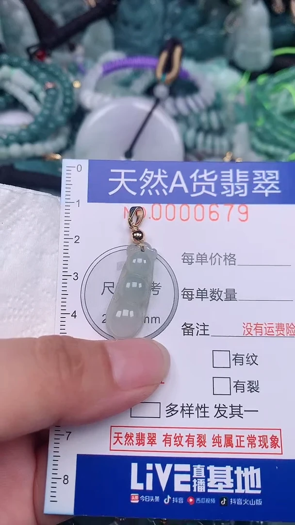 翡翠未镶嵌颈饰...0000679