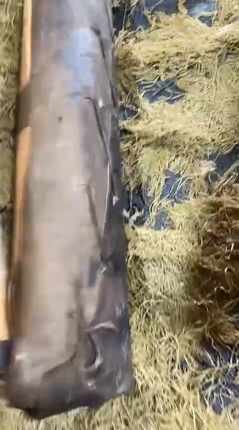 木摆件一个【金三甄选】