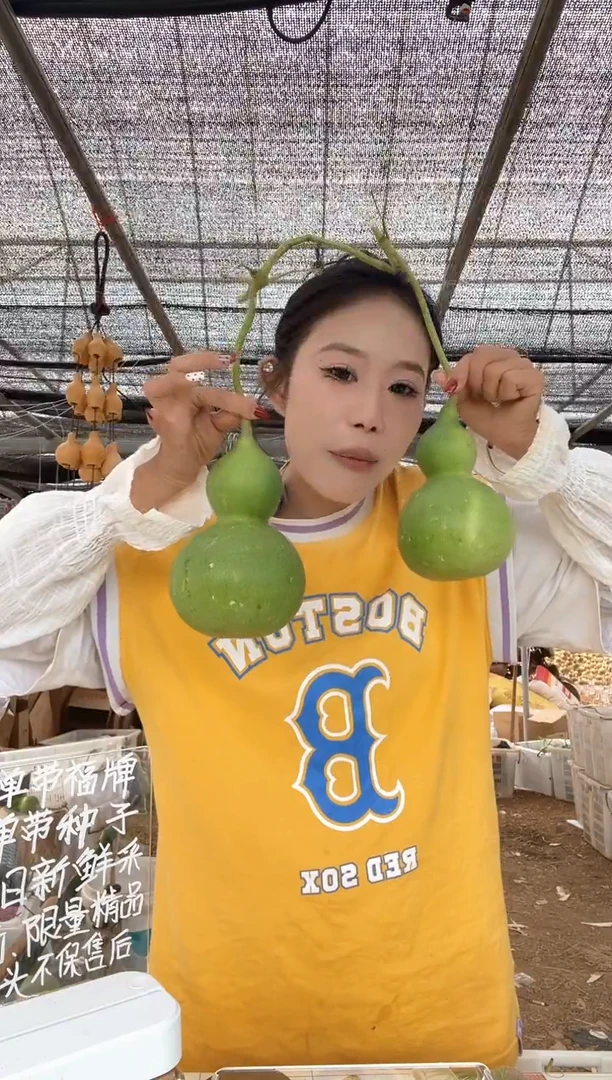 814天然葫芦摆件 一物一拍龙头不保售后