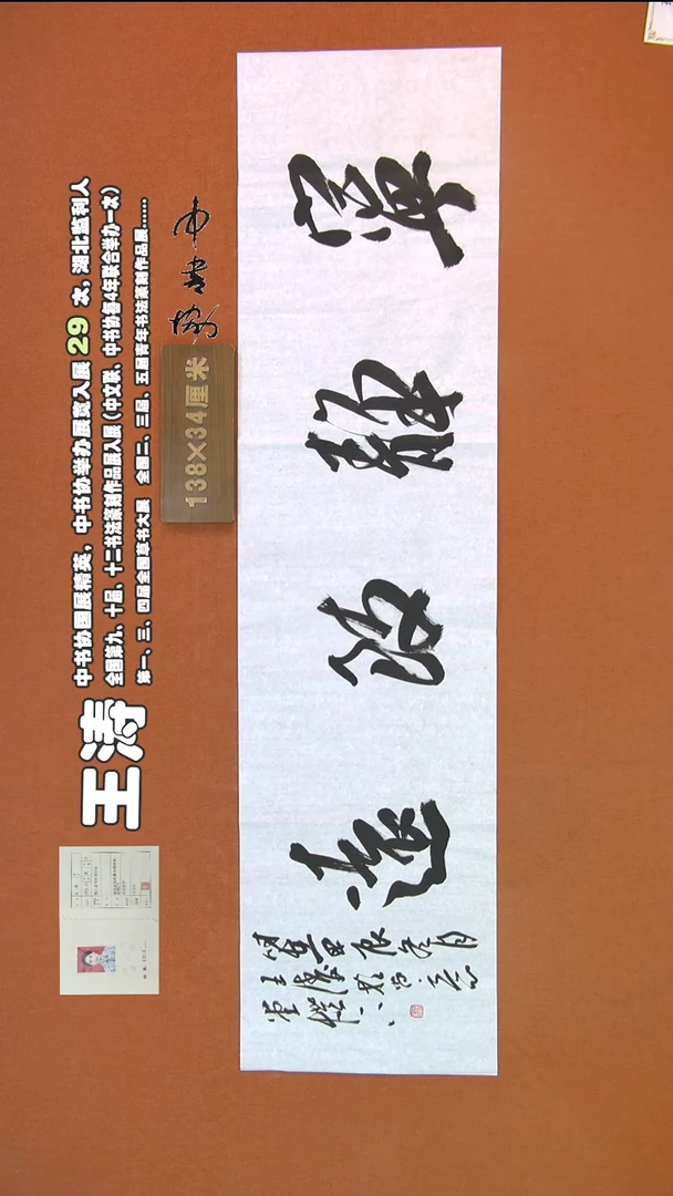 【闪购商品】书法274王涛书法作品