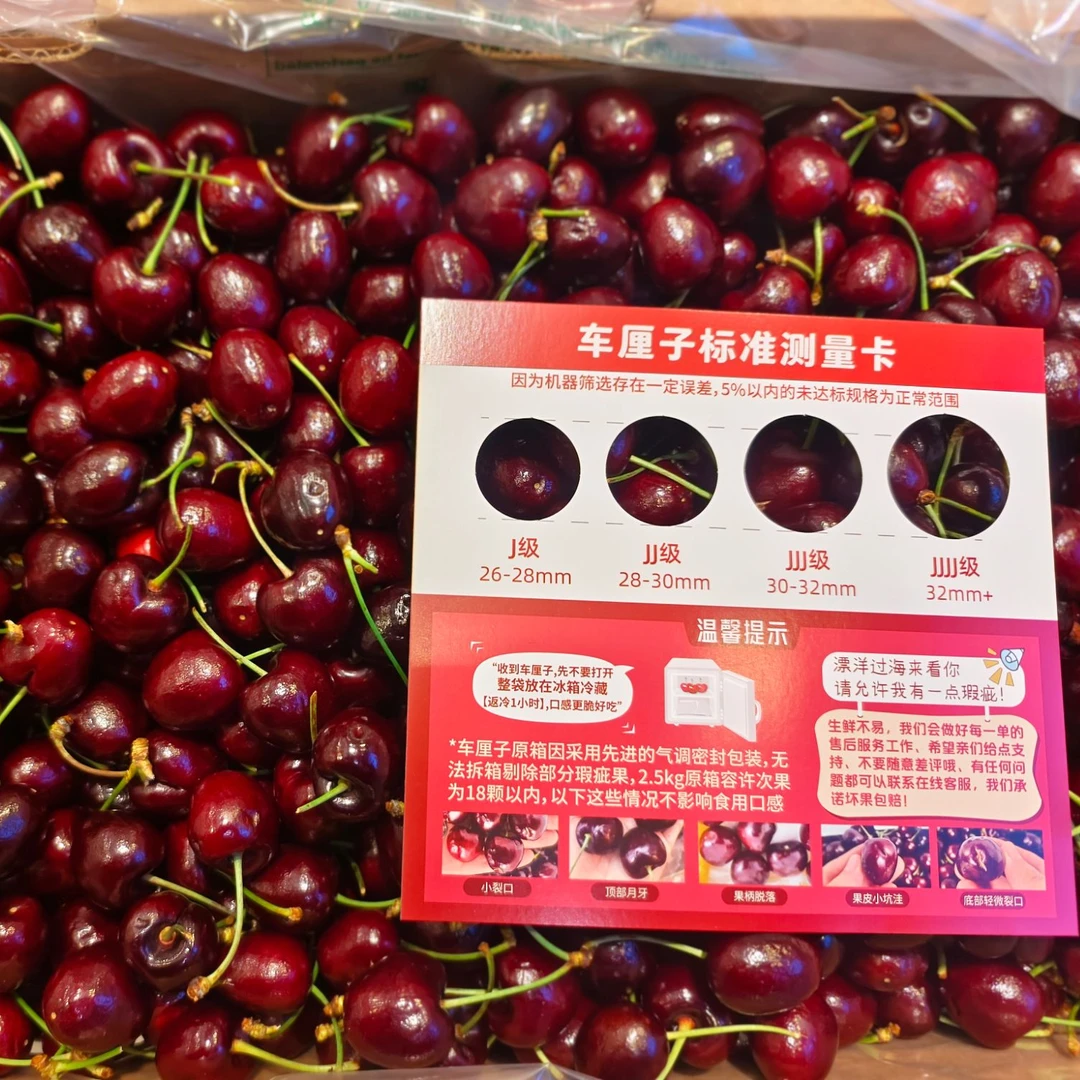 【配送到家】海运智利桑提娜车厘子XL规格1500g三斤礼盒装桑提娜智利
