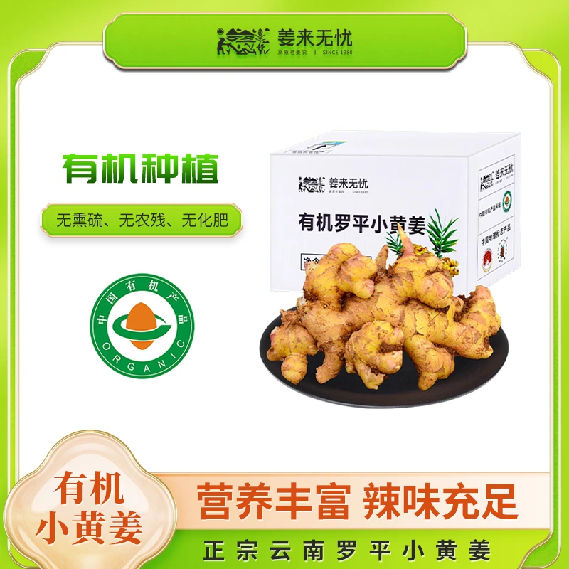 【有机】三伏天正宗罗平小黄姜2500g姜农家浓郁调味炒菜