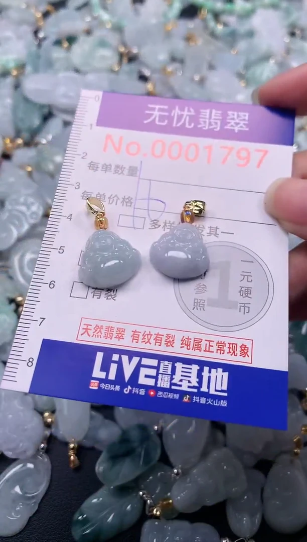 颈饰未镶嵌翡翠1797