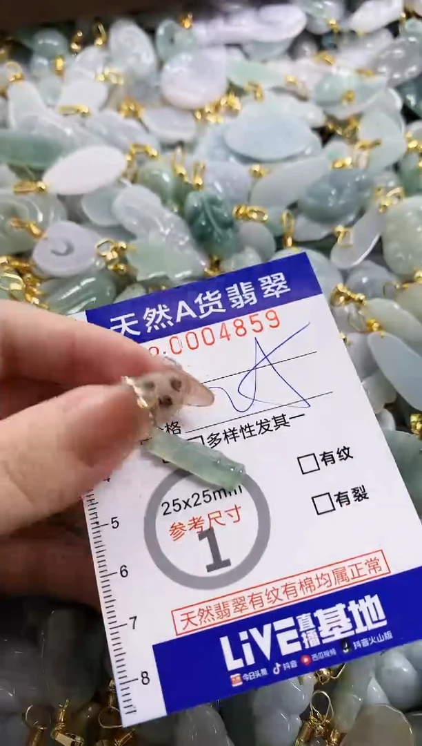 颈饰未镶嵌翡翠天然A货翡天然A货翡翠翠