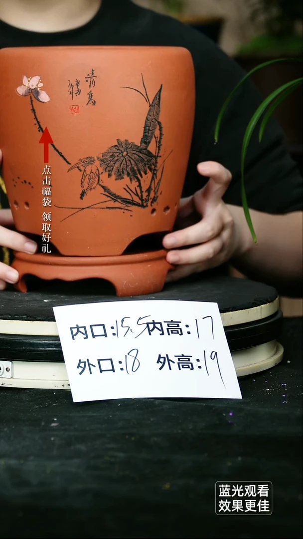 紫砂花盆清水泥刻绘龙蛋一个带托