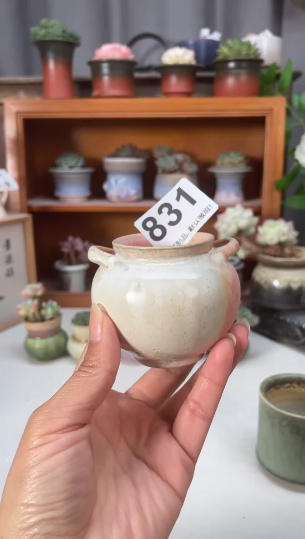 瓷片831知木小芳花盆