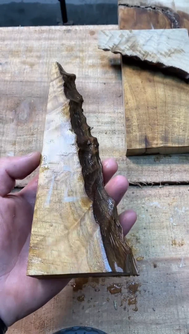 余****³金丝楠小叶桢楠1