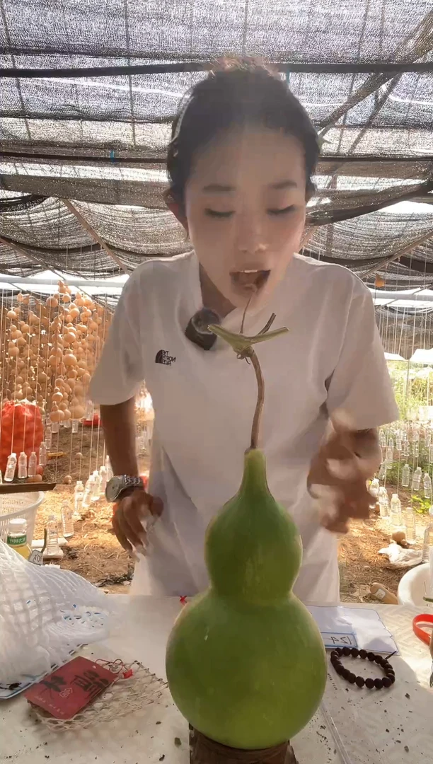 123天然葫芦摆件 一物一拍