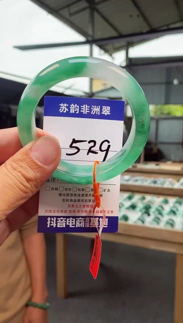 未镶嵌手镯石英质玉（非洲翠）58+