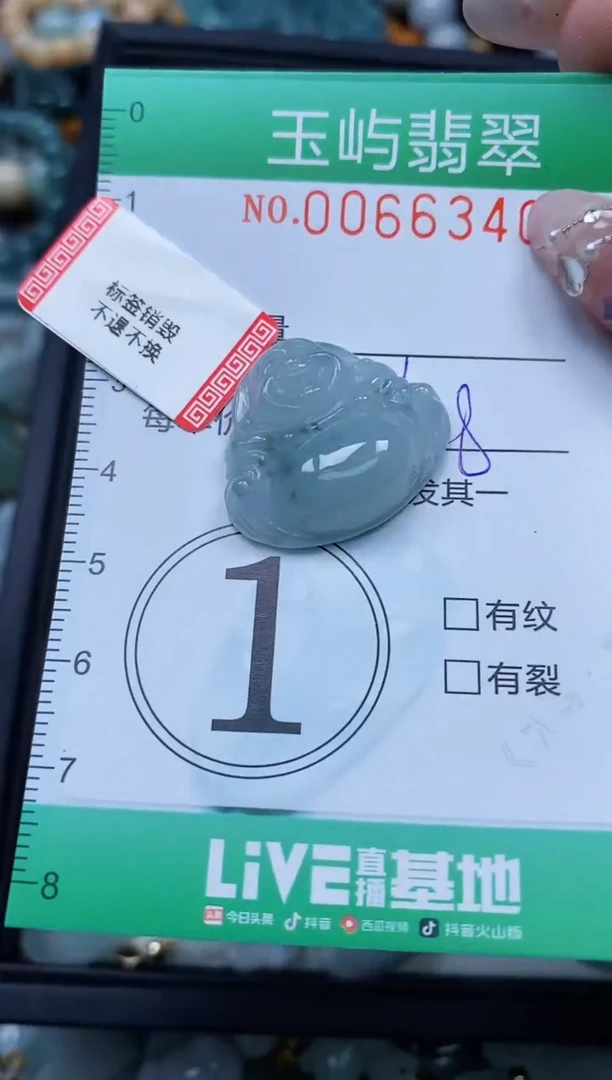 【闪购商品】翡翠颈饰未镶嵌闪购0066340