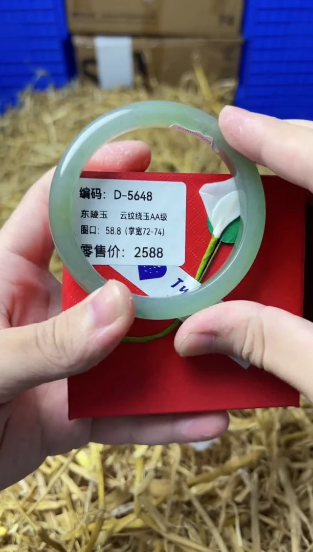未镶嵌手镯石英质玉D-5648
