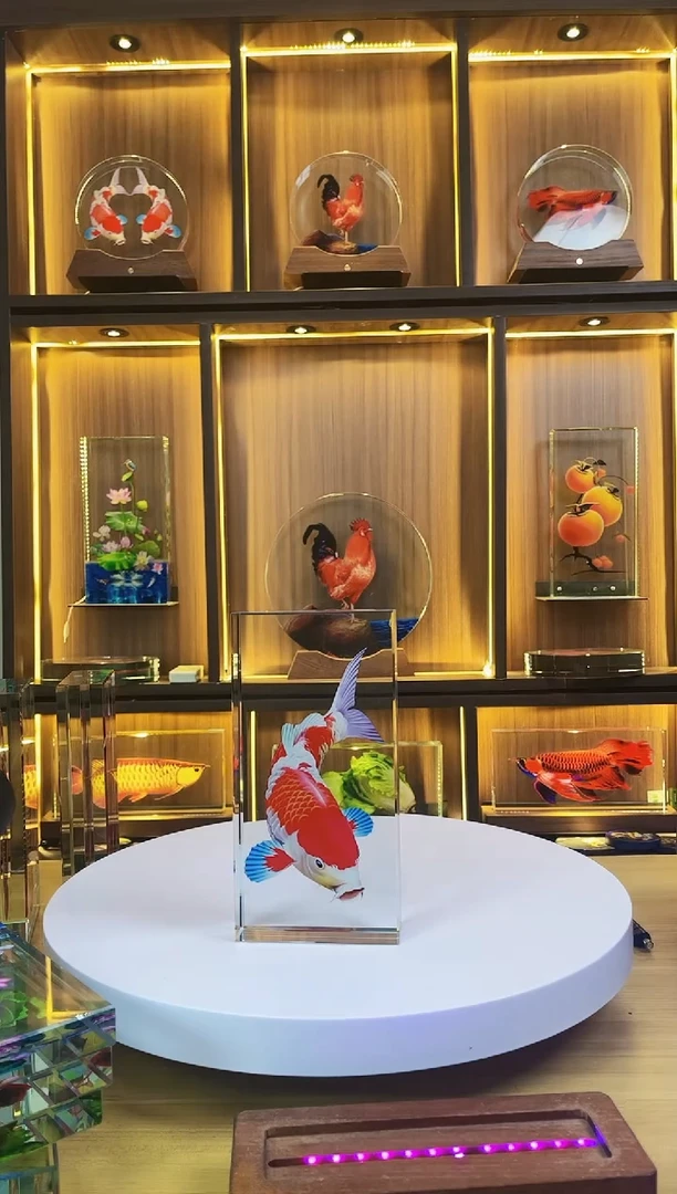 有机玻璃风**行磕碰尺寸20*10*4鲤鱼