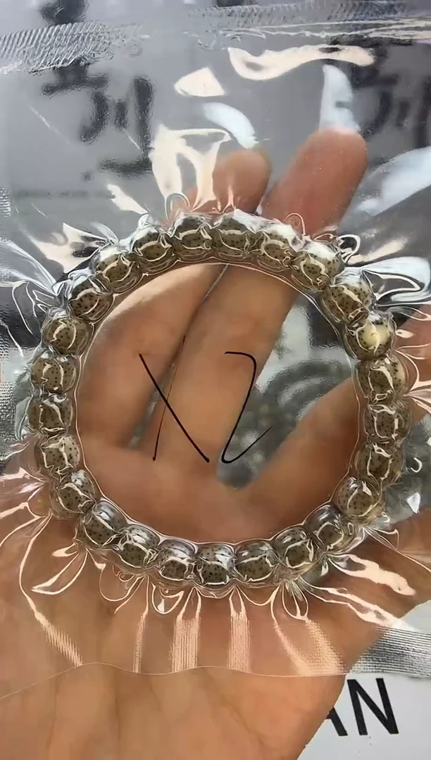 手串星月菩提9/8 石玉料 糯灰大眼睛留白 星点货 侧大留白 同枝果