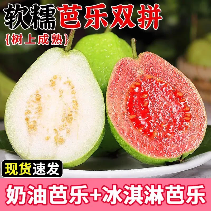 【红心+白心】广西红芭乐双拼香甜软糯番石榴新鲜孕妇水果红白心