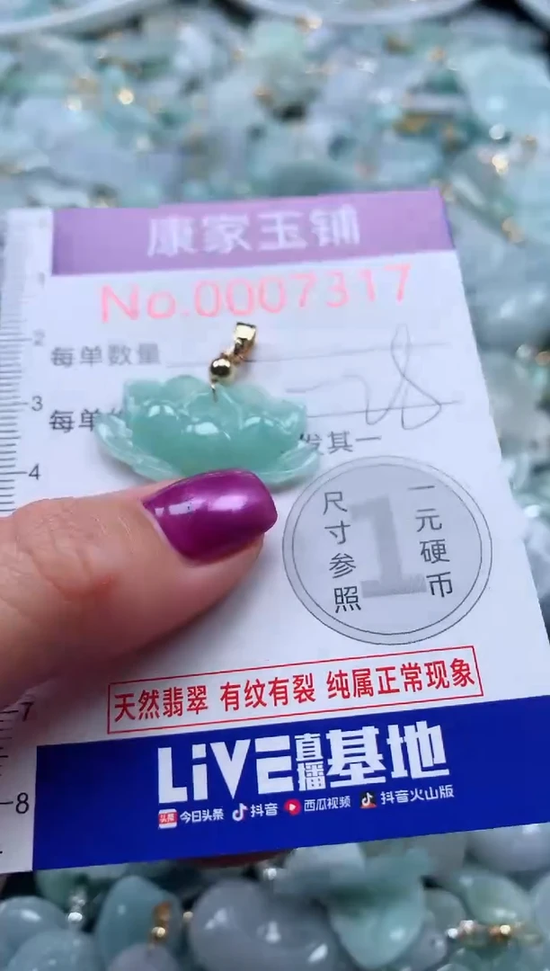 颈饰未镶嵌翡翠7317