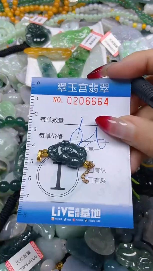 颈饰未镶嵌翡翠闪购C0206664