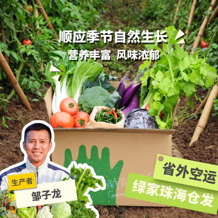 生态蔬菜蘑菇豆腐鸡蛋年份额每次4斤/6斤/有机蔬菜直播卖货第一名