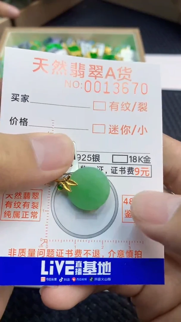 翡翠未镶嵌颈饰             1