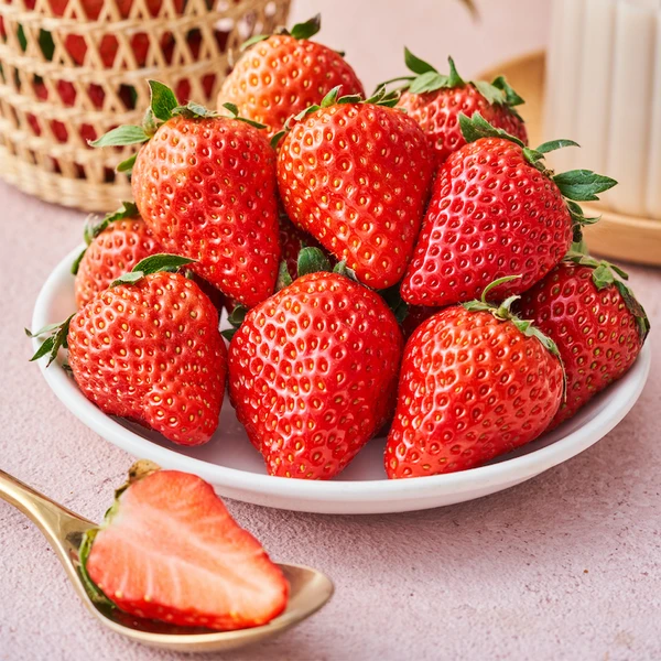 丹东红颜草莓（单果17g+） 480g