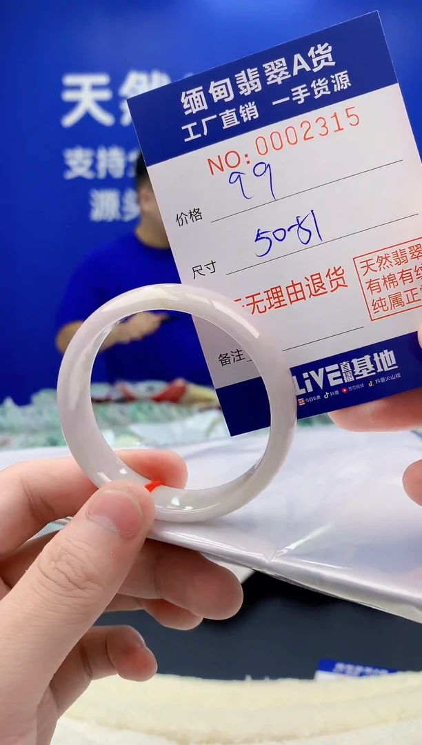 未镶嵌手镯翡翠15