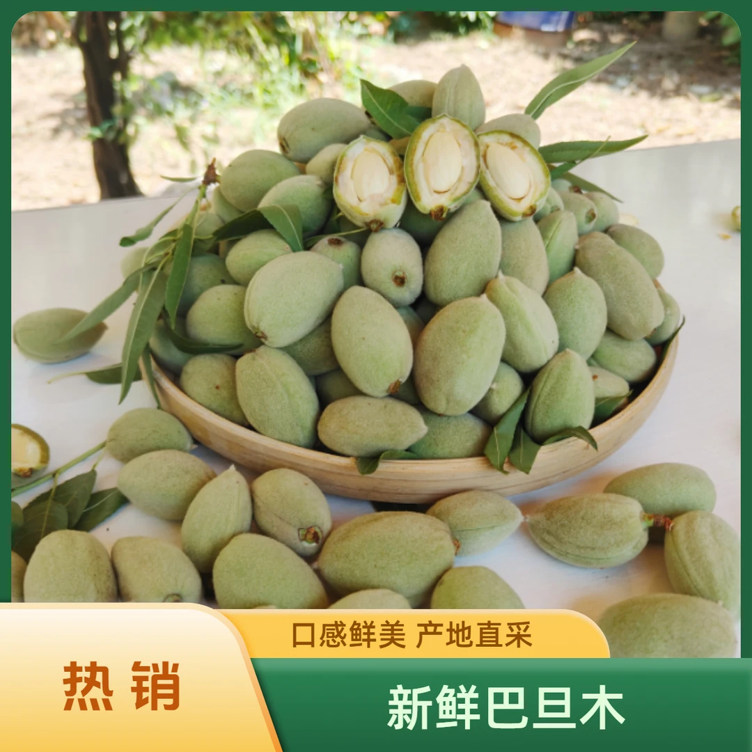 25年新鲜青皮巴旦木鲜果巴旦木大杏仁 1/3/5斤产地直发