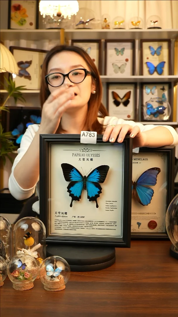 天堂凤蝶-中文（10寸欧式黑框）A783