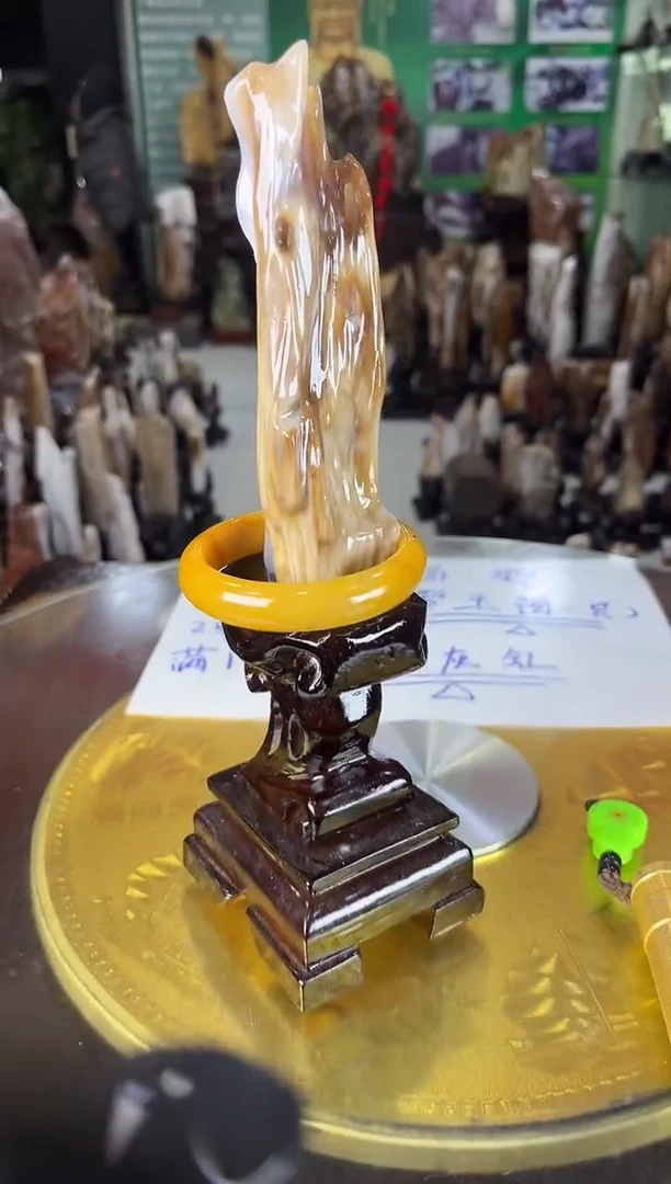 未镶嵌珠宝奇石硅化玉缅甸天然树化玉摆件