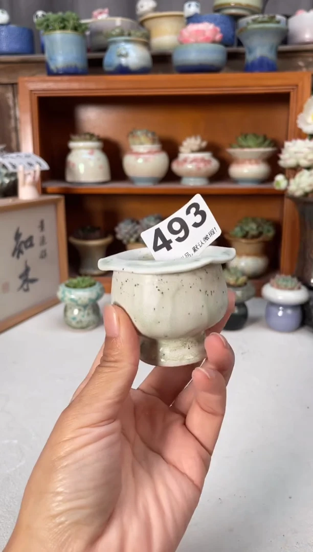 瓷片493小芳直播编号