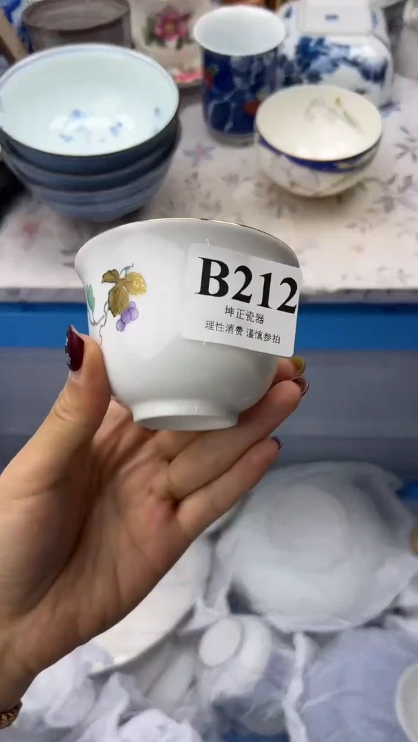 瓷片 B212