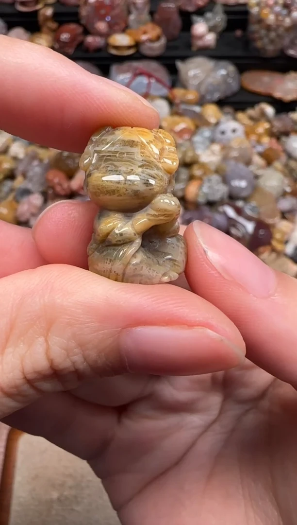 硅化珊瑚（珊瑚玉）未镶嵌颈饰640