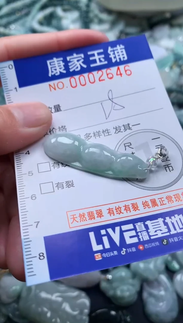 颈饰未镶嵌翡翠2646