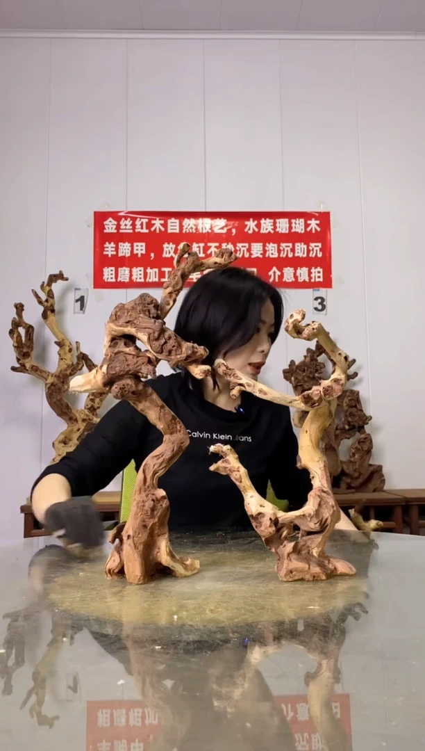 【闪购商品】木37金丝红木 羊蹄甲2
