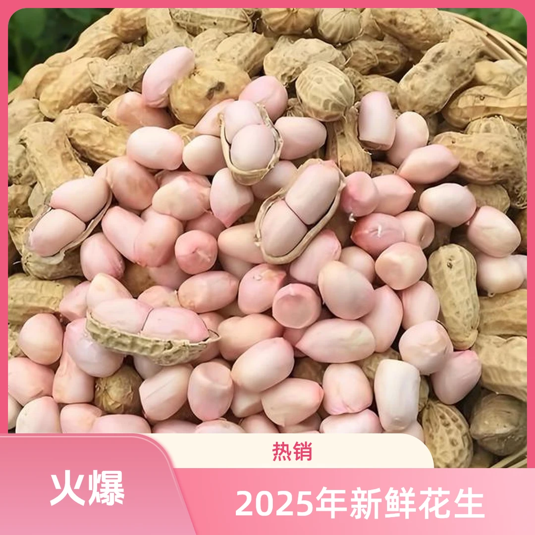 新鲜现挖带壳湿花生农家自种可水煮生吃粉红皮花生