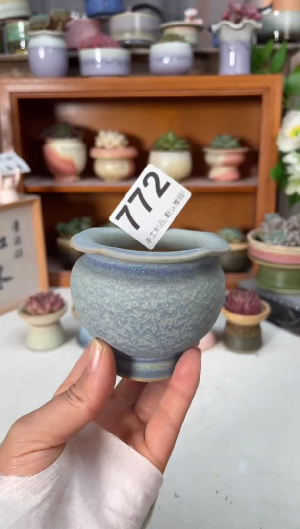 瓷片772小芳直播编号