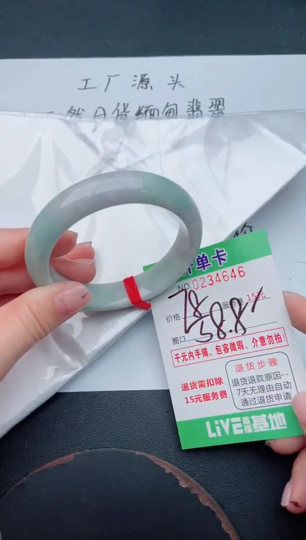 未镶嵌手镯翡翠46