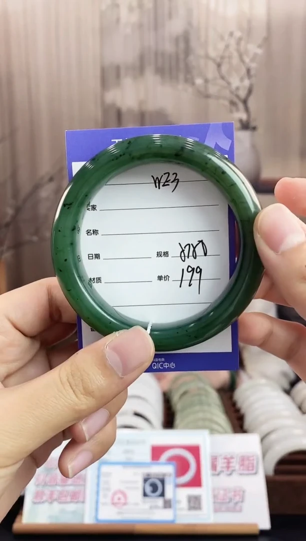 未镶嵌手镯和田玉WE3微色差