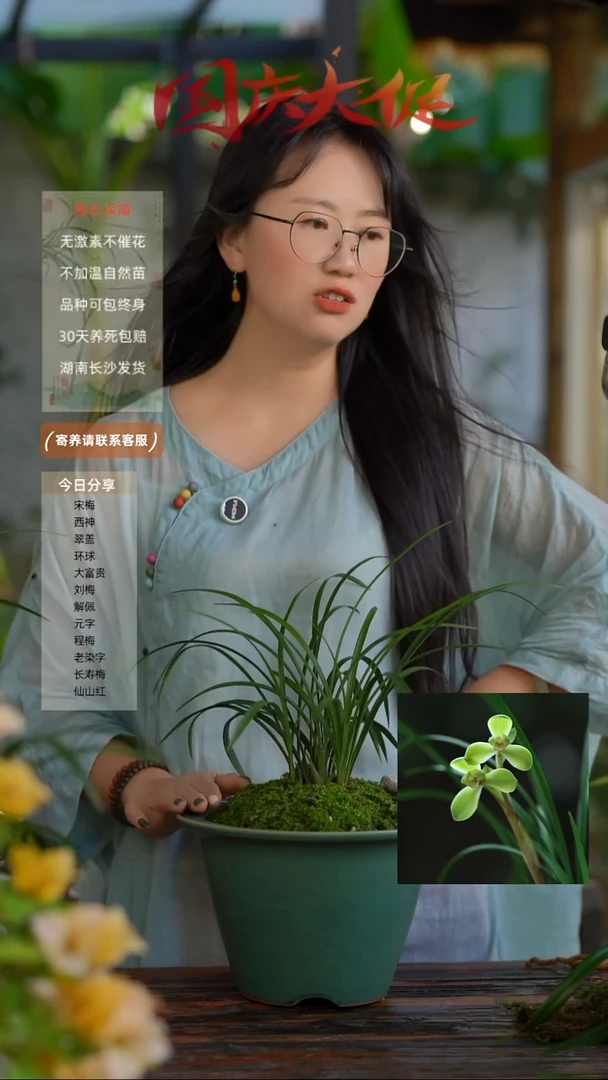 无花朵休**＆带盆发货【定制】