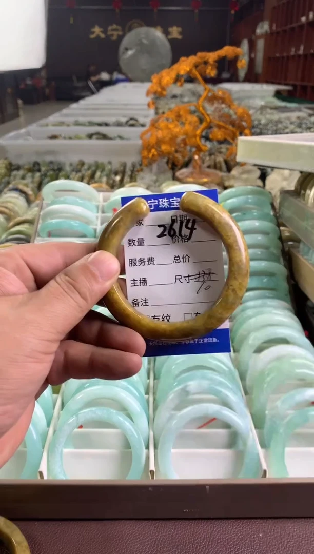 蛇纹石玉未镶嵌手镯2614