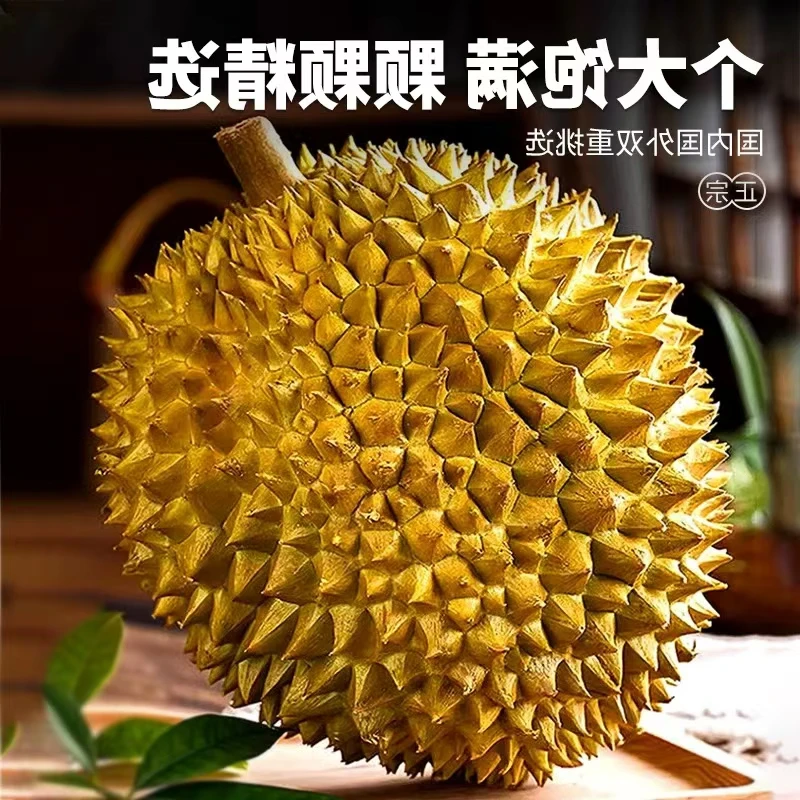 正宗鲜果带壳新鲜水果应季树上熟 新鲜水果  产地直发 无花果