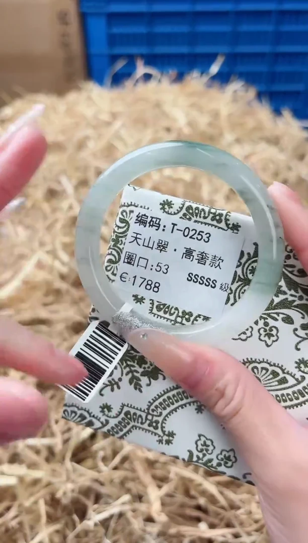 未镶嵌手镯石英质玉T-0253