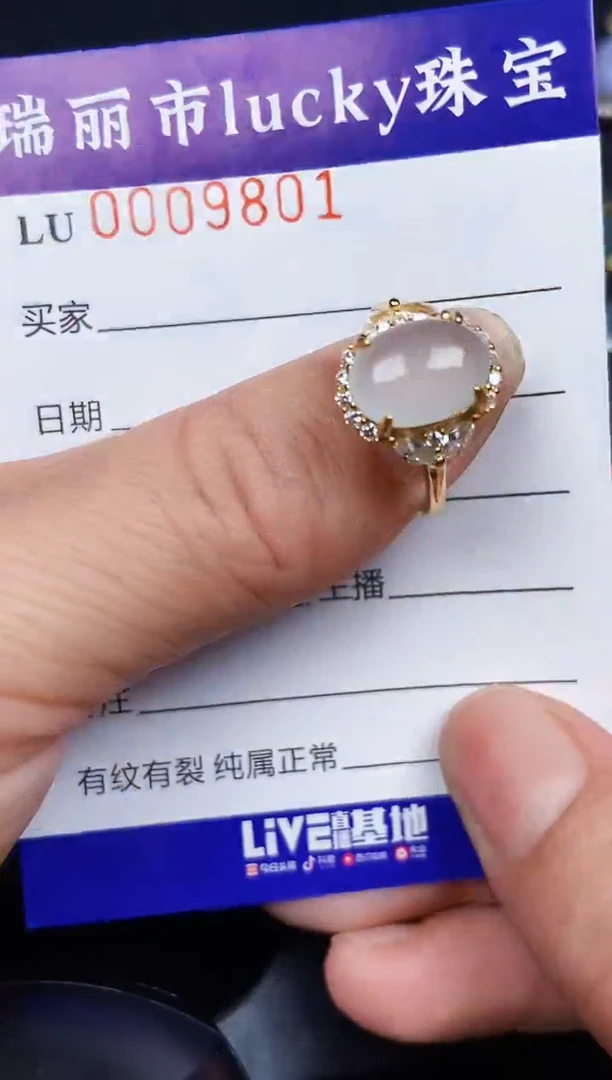 翡翠银S925镶嵌颈饰9801
