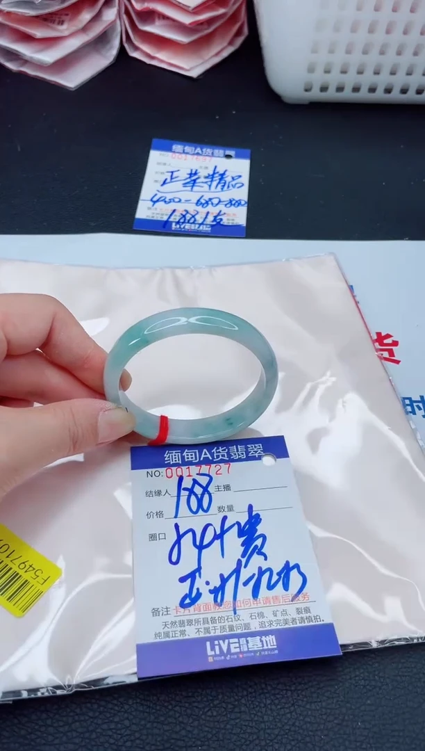 未镶嵌手镯翡翠我2