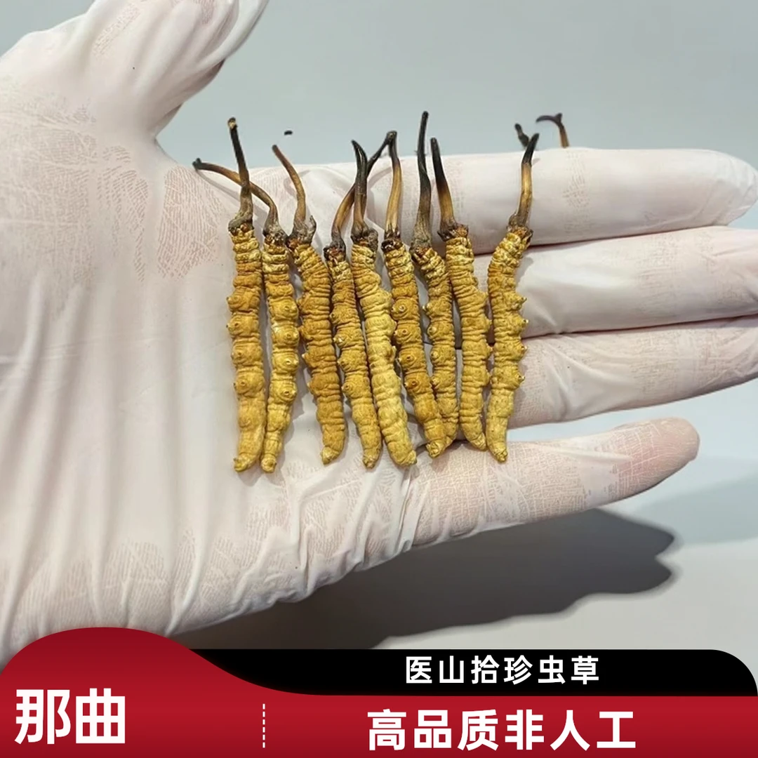 医山拾珍（4根一克）野生西藏高海拔 干冬虫夏草 非人工高品质