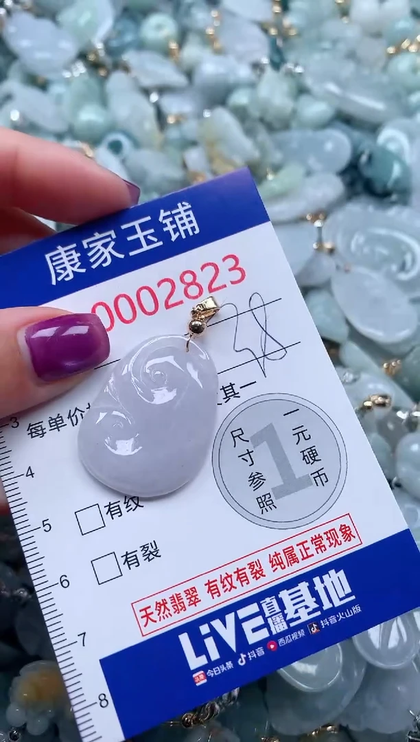 颈饰未镶嵌翡翠2823