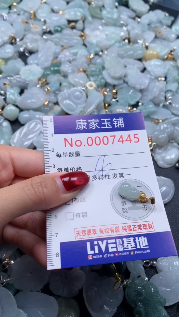 颈饰未镶嵌翡翠7445