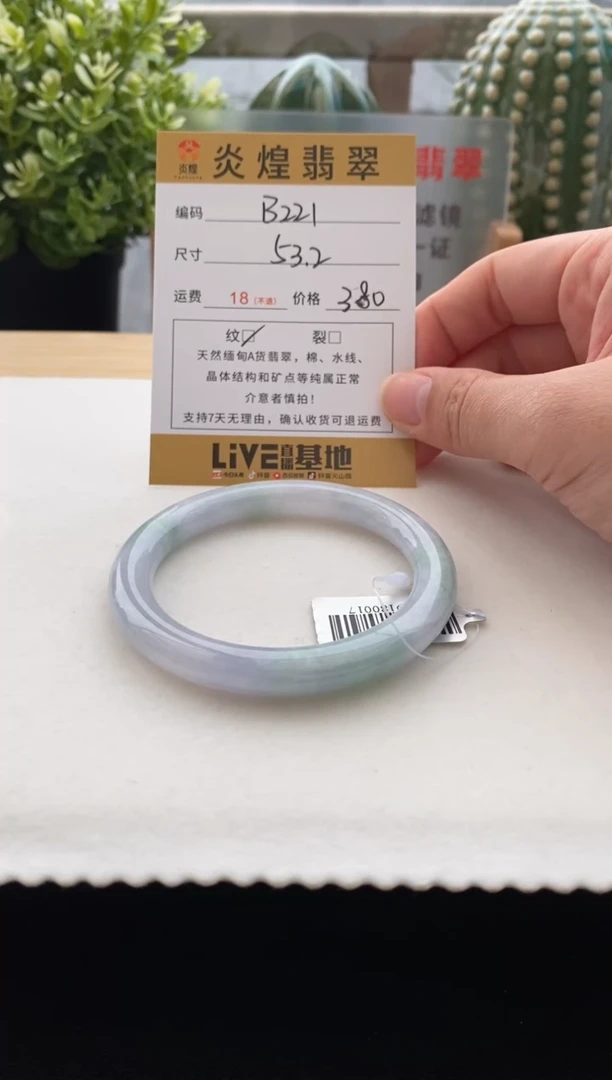 未镶嵌手镯翡翠53.4圈口 编码B221