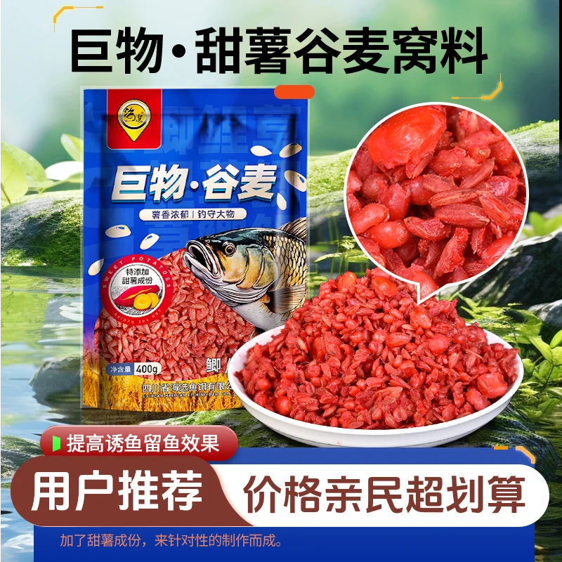 巨物谷麦饵料红薯玉米麦粒五谷杂粮鱼饵料野钓鲫鲤草打窝诱鱼窝料
