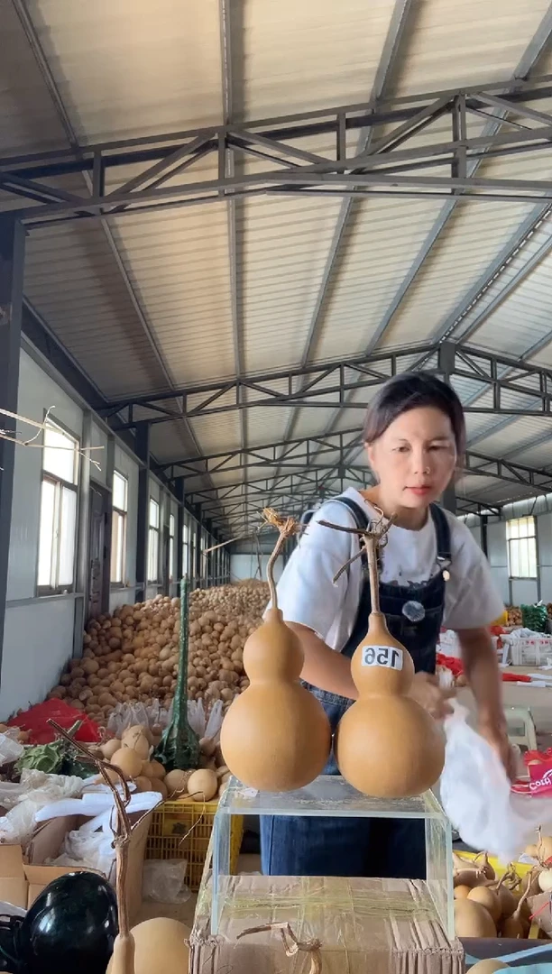 156天然葫芦摆件 一物一拍龙头不保售后