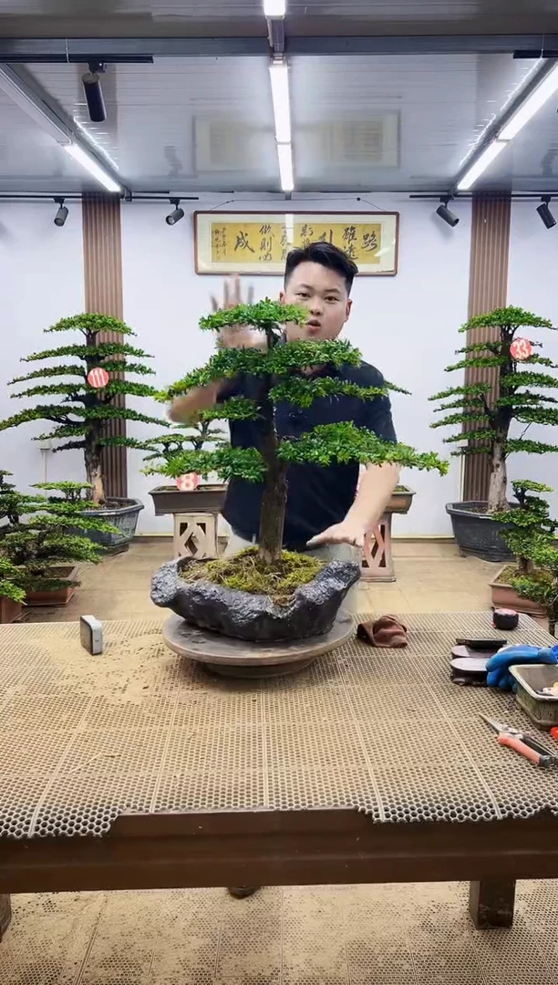 无花朵一物一拍，所见即所得