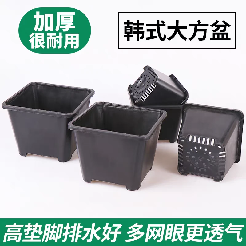 高垫脚多肉花盆景天小方盆塑料小黑方加厚育苗盆花卉绿植鲜花简约